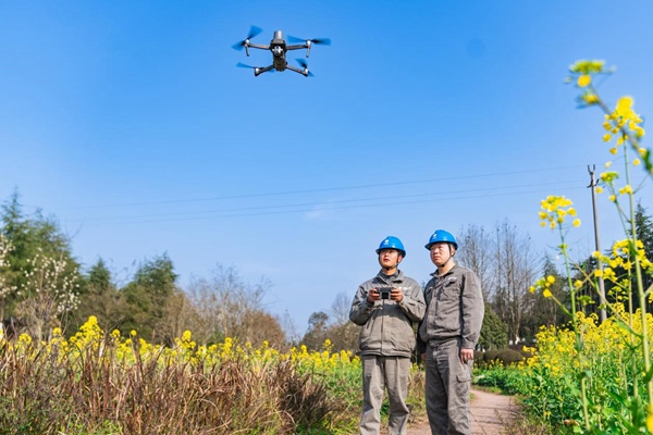 電力人員利用無人機巡檢線路。國網重慶永川供電公司供圖