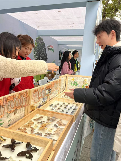 蝴蝶標本展示。周小平攝