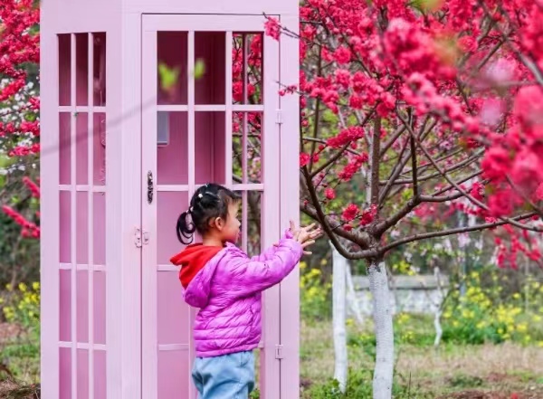 感受春日好時光。一品街道供圖