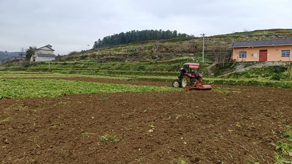 龍潭供銷社開展農業社會化服務。重慶市供銷合作總社供圖