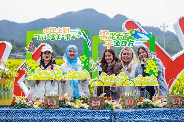 留學生在回龍鎮油菜花田拍照留念。熊偉攝