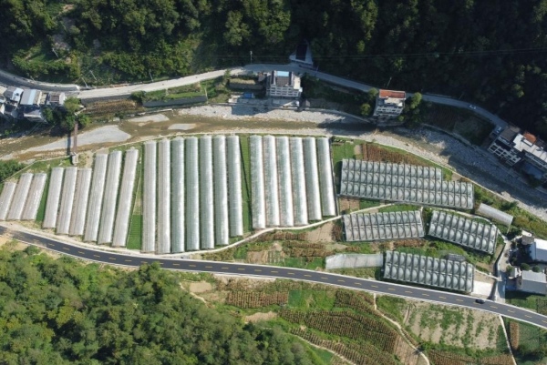 咸宜村興隆壩蔬菜種植基地。咸宜鎮供圖