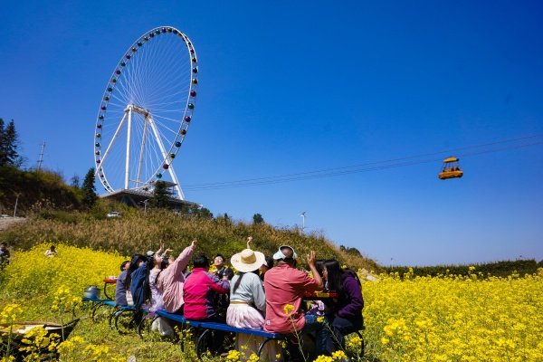 游客在油菜花田中品嘗春野美食。景區供圖