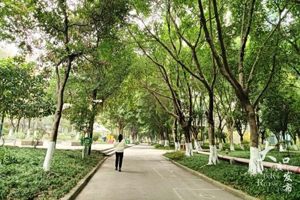 天辰美苑小區。大渡口發布供圖