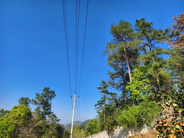 清理后的線路通道干凈清爽。國網重慶永川供電公司供圖