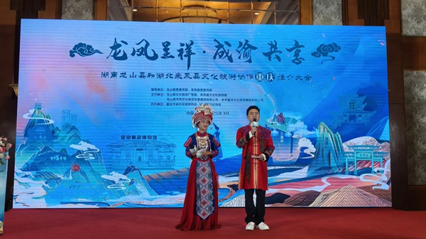 推介活動現場。主辦方供圖