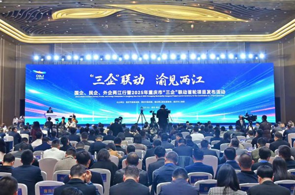 活動現場?；顒又鬓k方供圖