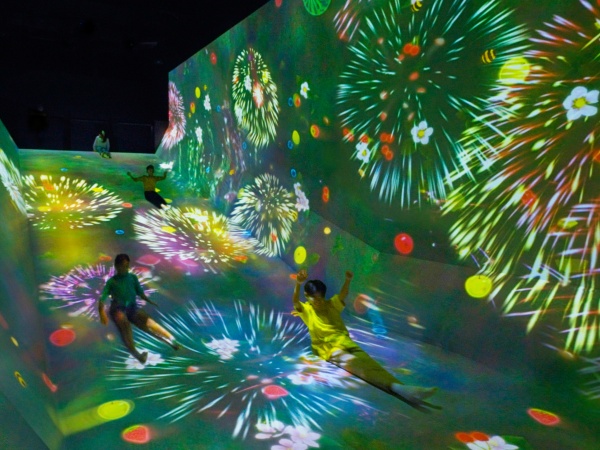 展出場景。主辦方供圖