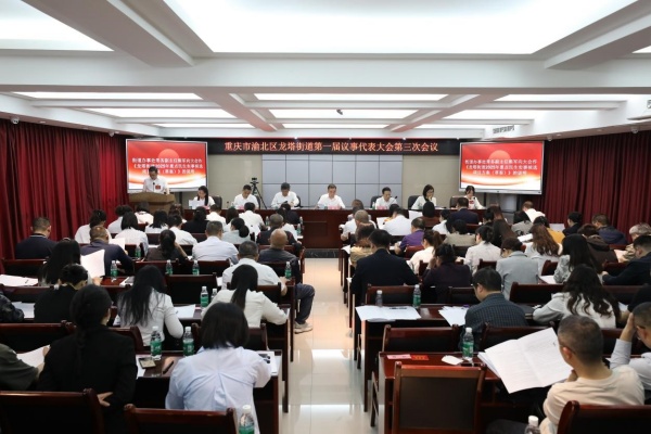 會議現場。龍塔街道供圖