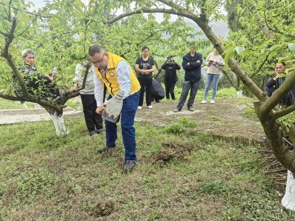 邀請科技特派員開展果樹管理技術現場培訓 。高美清 攝