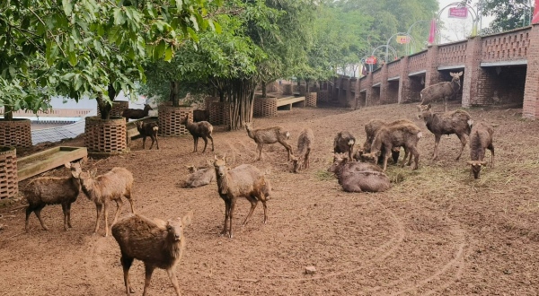 佰鹿園永川基地。受訪者供圖