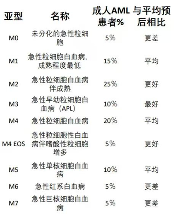 M0—M7八種亞型示意圖。重慶松山醫院供圖