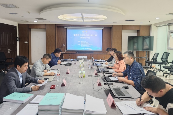 專家評審現場。主辦方供圖