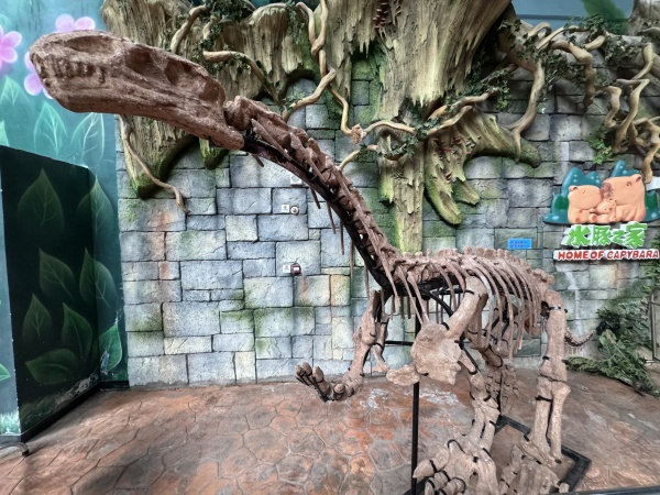 活動現場。融創文旅城供圖