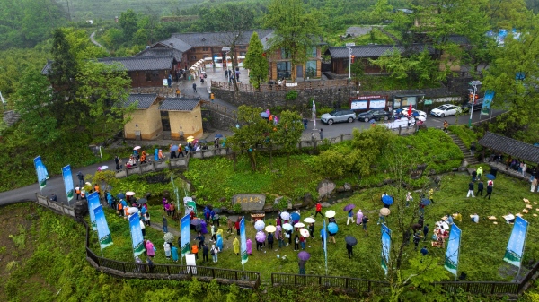 活動現場。主辦方供圖