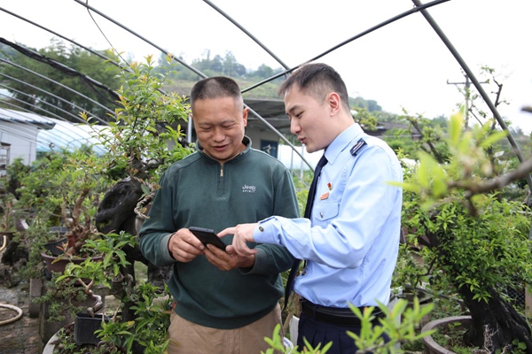 豐都縣稅務人員走進縣園博苗木種植場，講解涉農稅收政策和納稅申報注意事項。張凌云攝