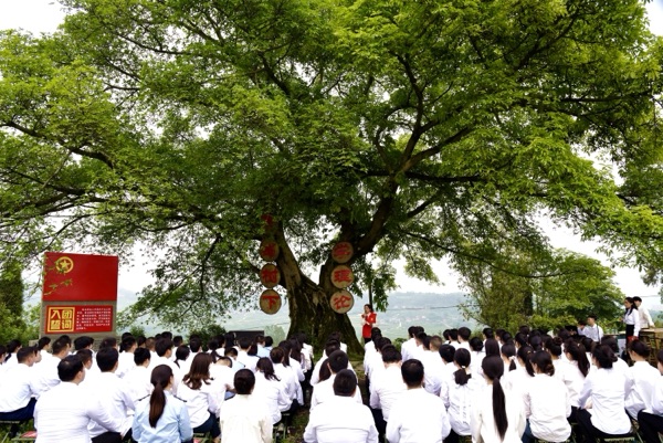 “青馬工程”學員聆聽革命故事。張靜 攝