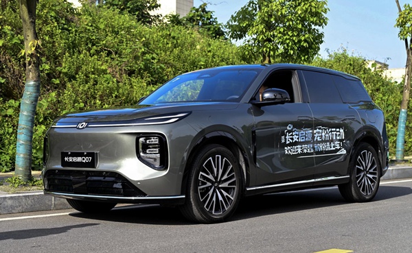 Q07組成的“寵粉車隊”。受訪單位供圖