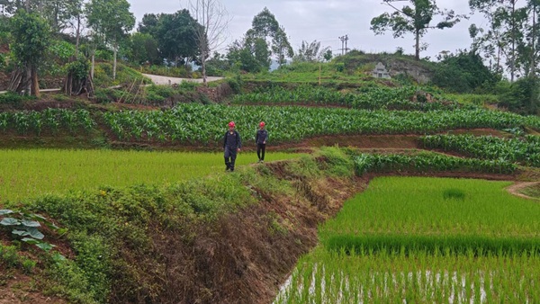 馮師傅和同事在“合北線”巡查燃氣管道。重慶燃氣集團供圖