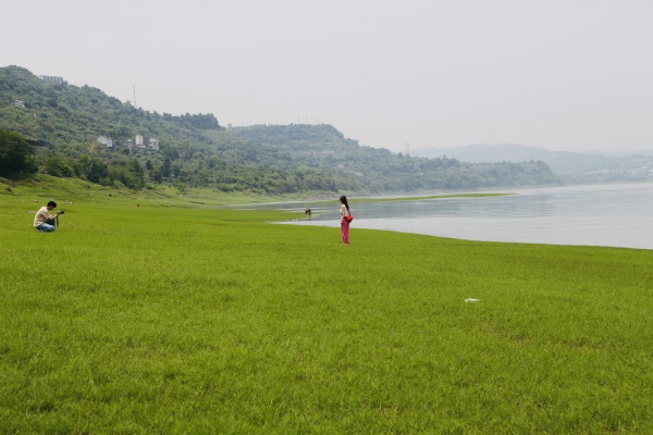 游客在消落帶草地上游玩。景區供圖