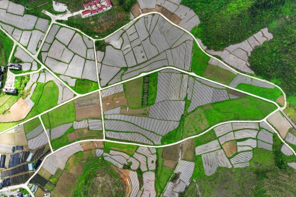 涂市鎮銀嶺村春耕場景。陳碧生攝