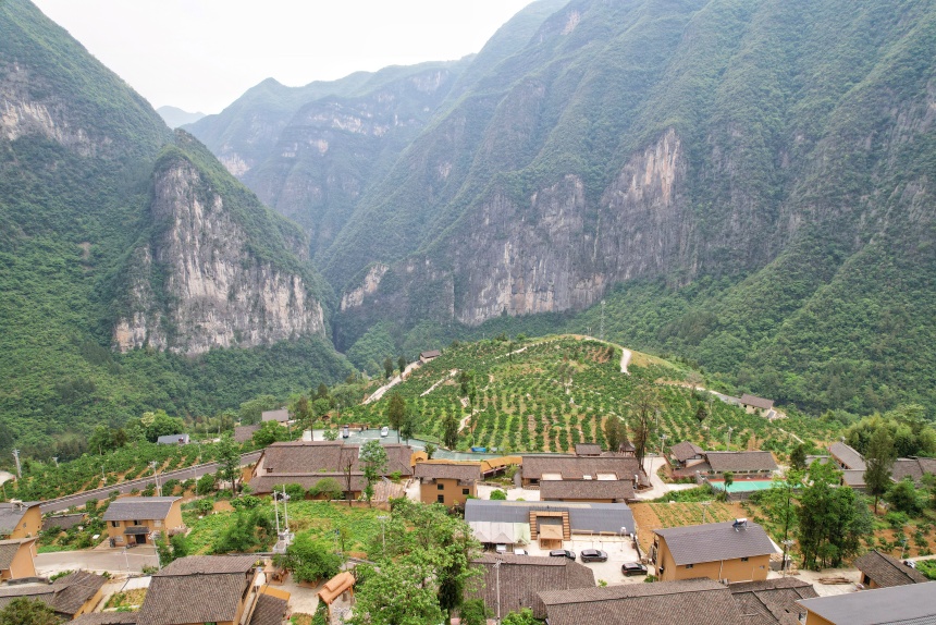 下莊村夏日景色。鄒樂攝