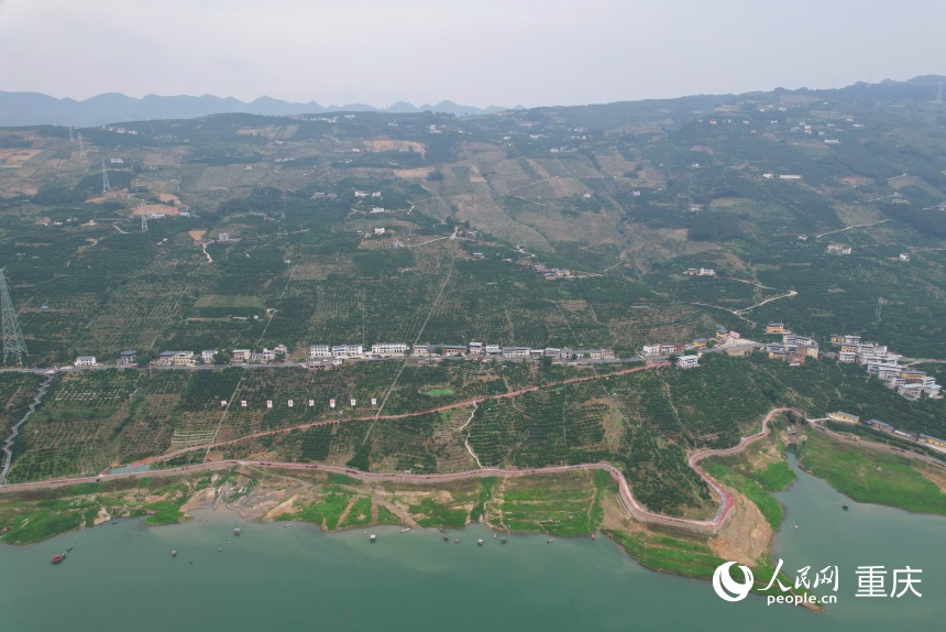 位于長江上游南岸的三沱村。人民網記者 劉政寧攝