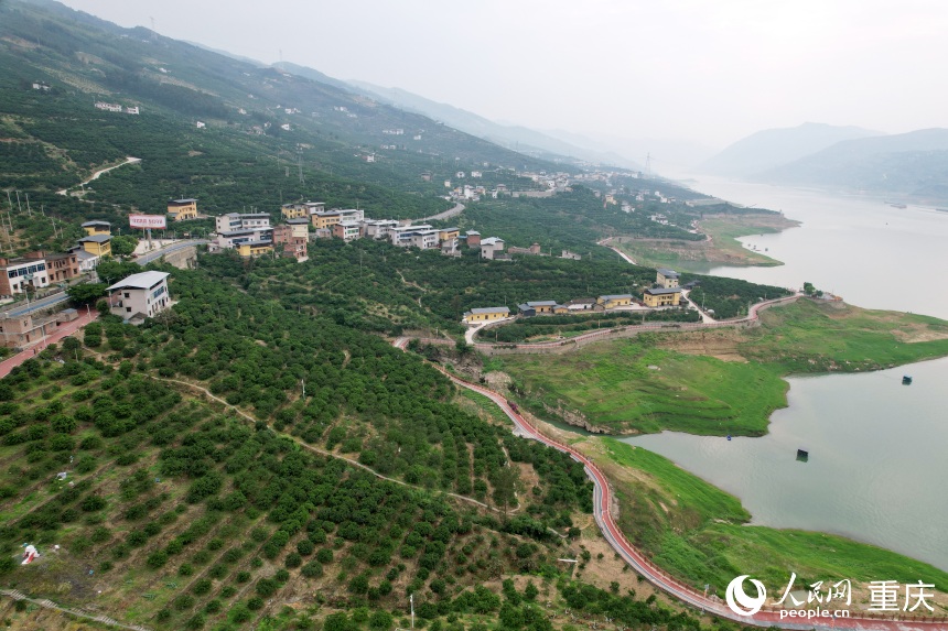 豐都縣安坪鎮三沱村。人民網記者 劉政寧攝