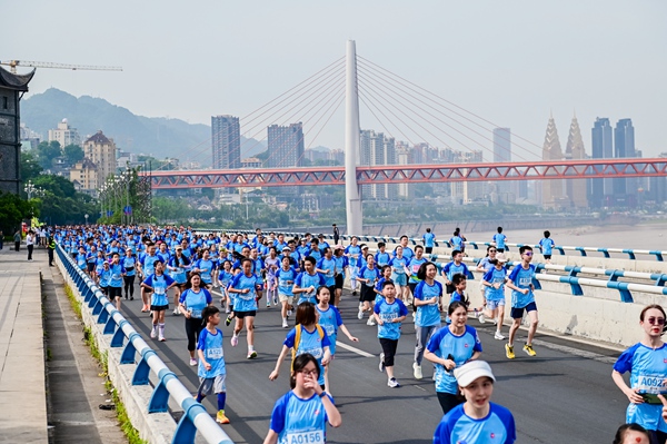活動現場。主辦方供圖