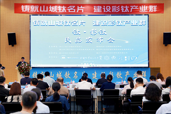 活動現場。兩江協同創新區供圖