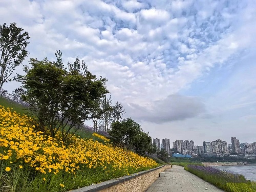 "藝岸漫行"都市水岸。重慶設計集團有限公司市政設計研究院供圖。