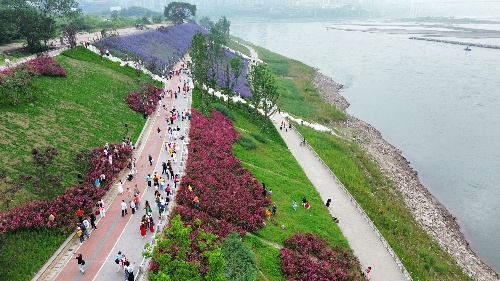 “林間探秘”立體步道。重慶設計集團有限公司市政設計研究院供圖。