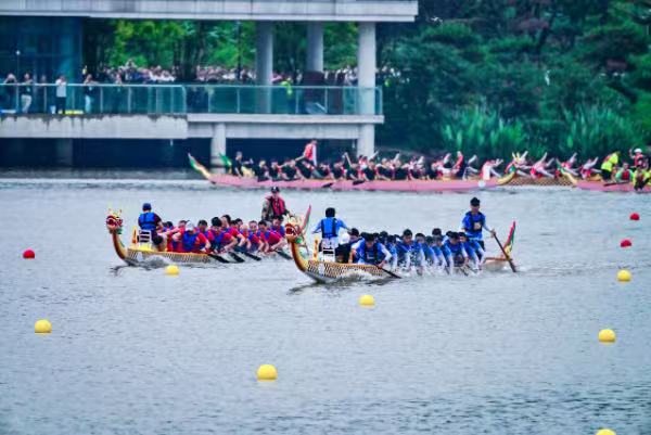 龍舟爭渡?；顒又鬓k方供圖