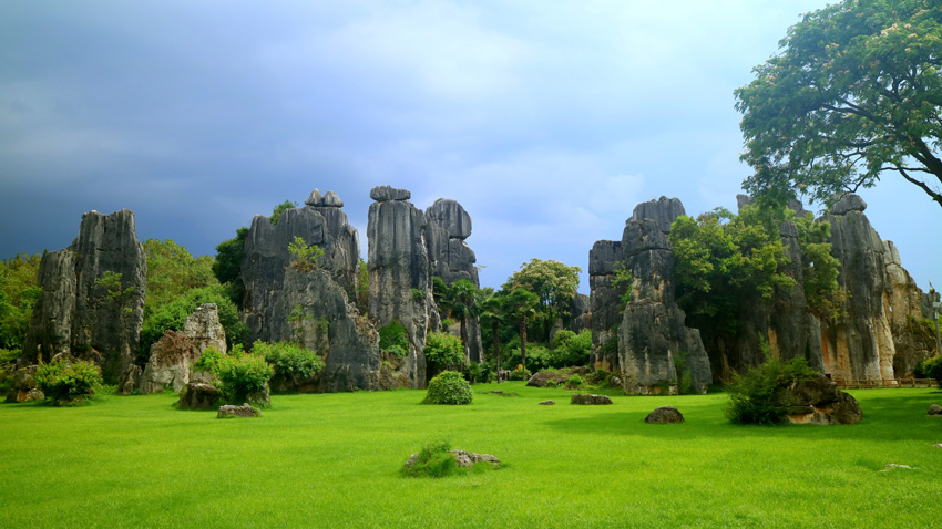 小石林。石林風景名勝區管理局供圖