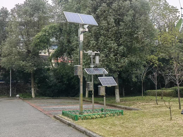 古樹名木智慧監測系統。重慶市林業局供圖