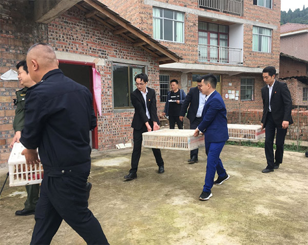 助力鄉村振興，支持困難農戶開展勞動養殖。中交資管重慶總部供圖