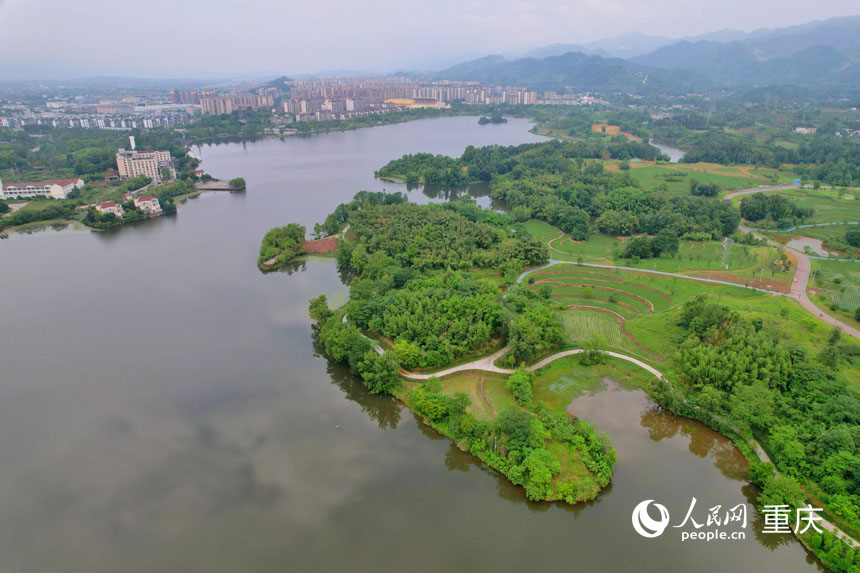 重慶市梁平區雙桂湖國家濕地公園。人民網 鄒樂攝