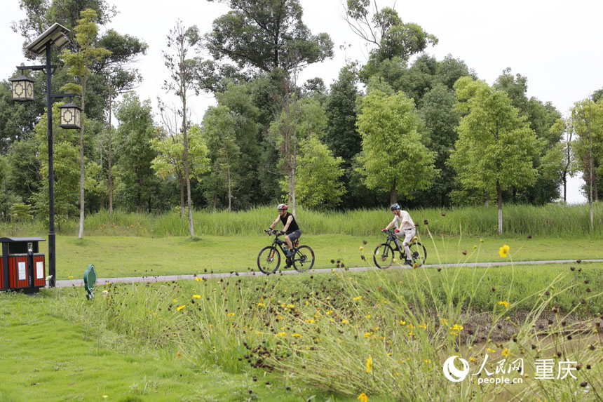 在雙桂湖國家濕地公園內騎行的游客。人民網 曹欣悅攝