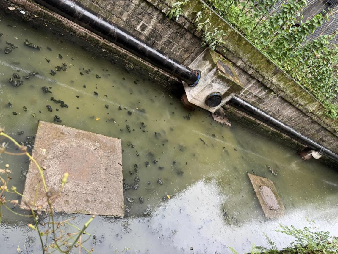 經雨水沖刷，瘦畔河段涌起的污垢。人民網 歐陽易佳攝