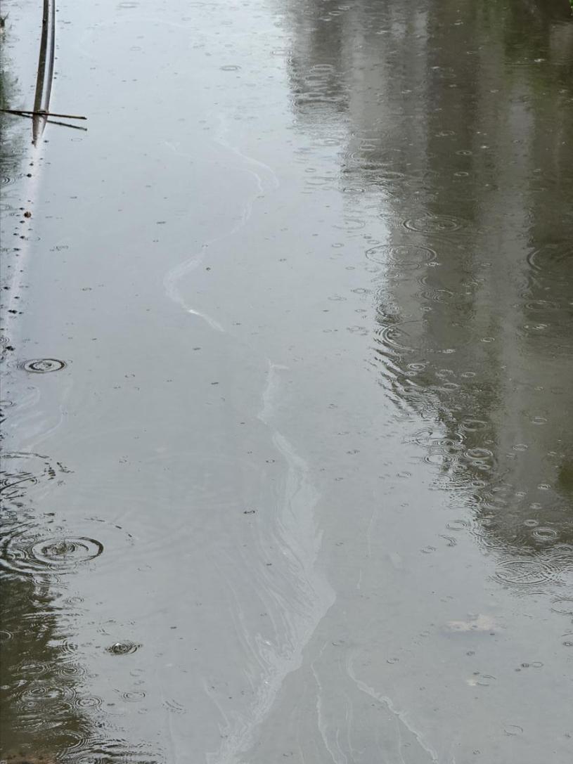 瘦畔河段水面上漂浮一層油膜。人民網 歐陽易佳攝