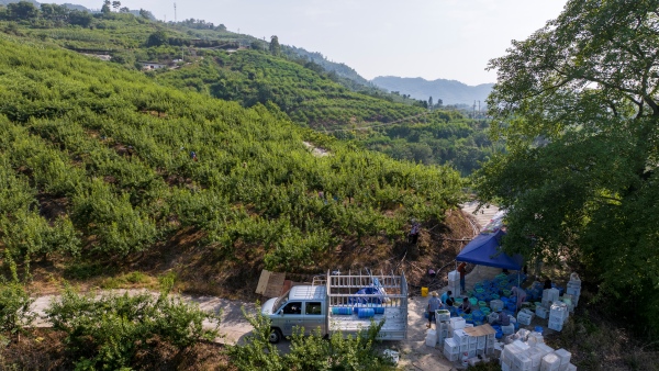 采摘的鮮果經分揀、裝箱將通過冷鏈車直達外地商超。劉先華攝