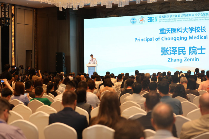 論壇現場。主辦方供圖