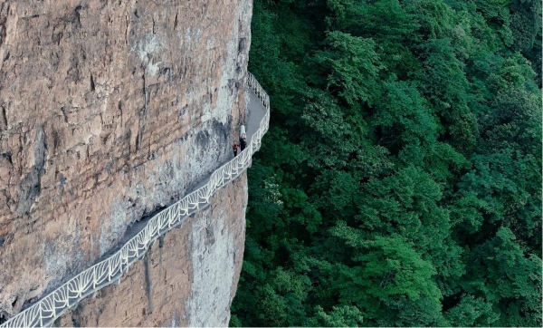 金佛山棧道。金佛山供圖