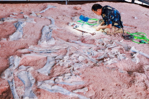 黔江白堊紀恐龍化石搶救性發掘現場。中共重慶市黔江區委宣傳部供圖。