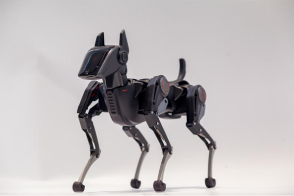 哮天Sirius智能機器狗。兩江協同創新區供圖