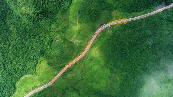 菖蒲大草原。酉陽縣委宣傳部供圖