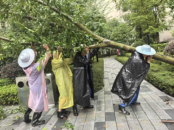 7月9日，萬科金開悅府物業人正在清理被大風刮倒的樹木。萬科物業供圖