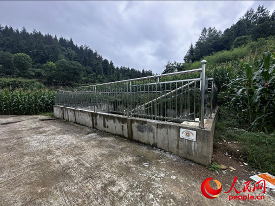 出現滲漏的洞口村高標準農田1號蓄水池。人民網記者 游天燚攝