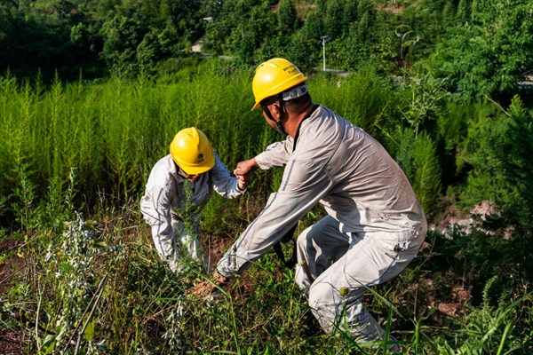 電力人員翻山越嶺巡檢線路。國網重慶永川供電公司供圖
