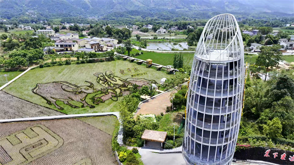 鳥瞰隆平五彩田園。大足區融媒體中心供圖